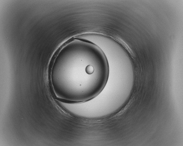 X0000116430884200912081522