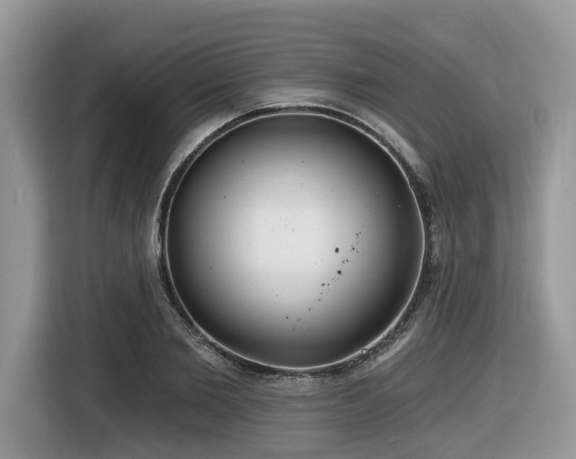 X0000116430885200912081522