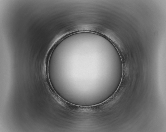 X0000116430886200912081522