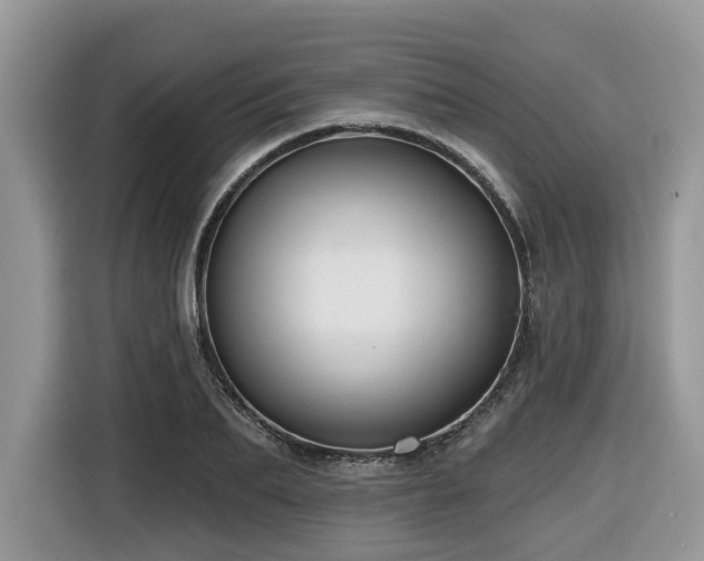 X0000116430887200912081522