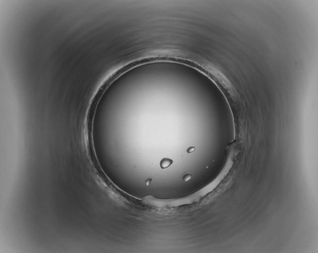 X0000116430888200912081522