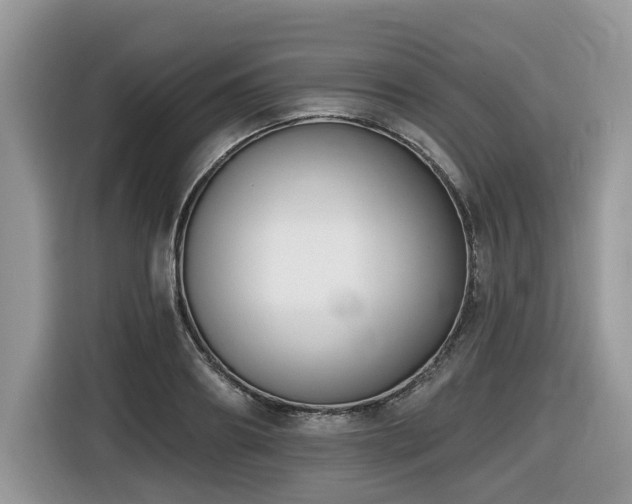 X0000116430890200912081522