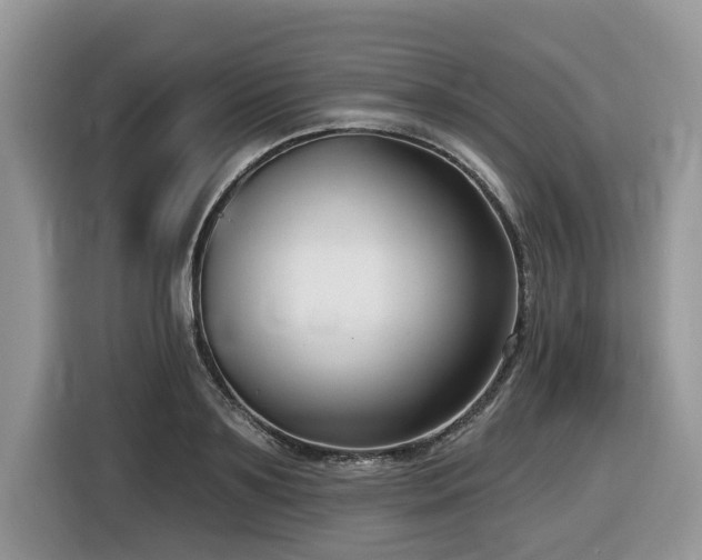 X0000116430891200912081522