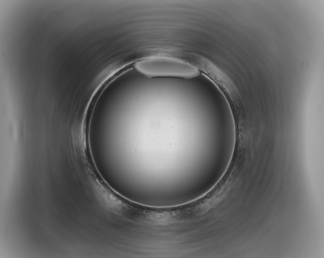 X0000116430892200912081522