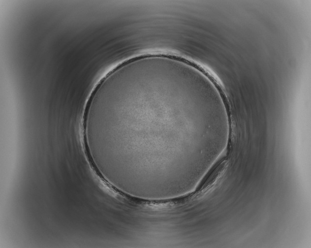 X0000116430895200912081522