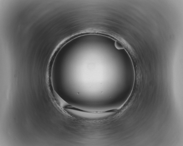 X0000116430896200912081522