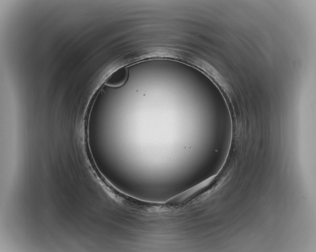 X0000116430898200912081522