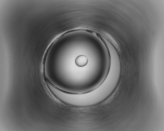 X0000116430900200912081522