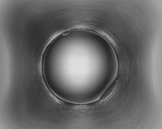 X0000116430902200912081522