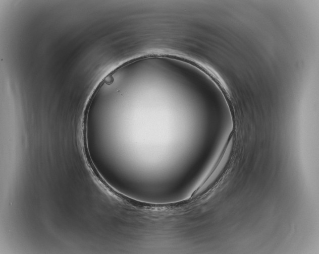 X0000116430903200912081522