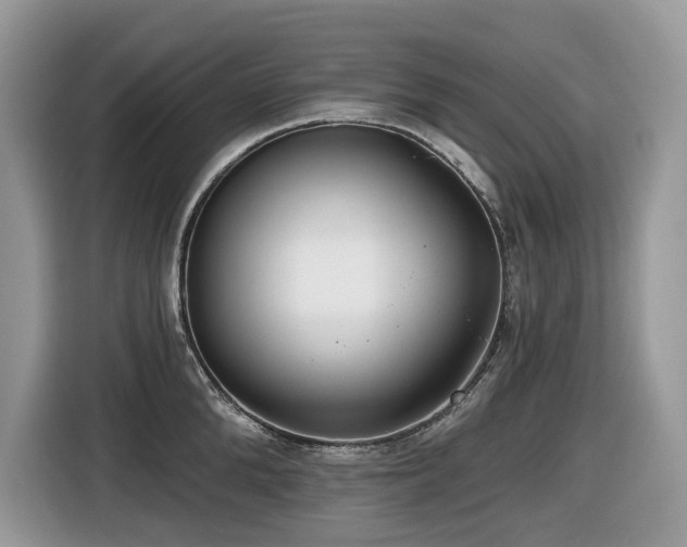 X0000116430904200912081522