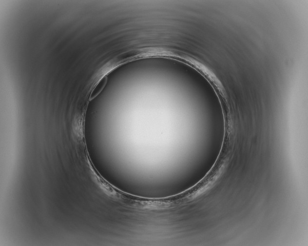 X0000116430905200912081521