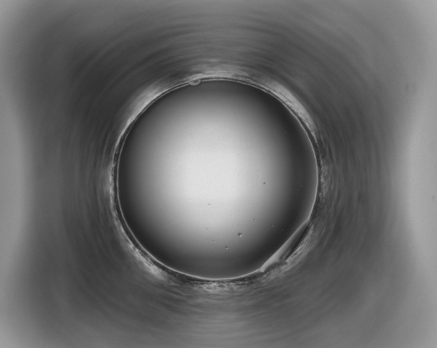 X0000116430906200912081521