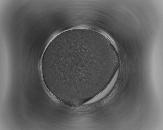 X0000116430907200912081521