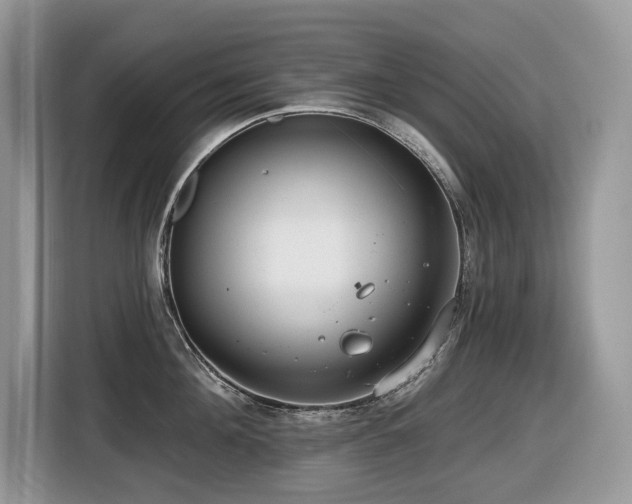 X0000116430908200912081521