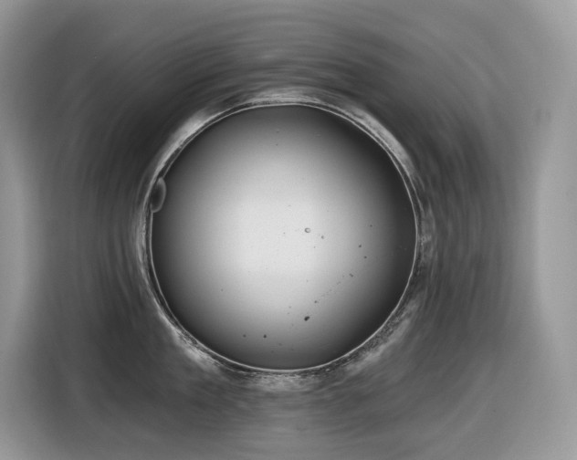 X0000116430909200912081521