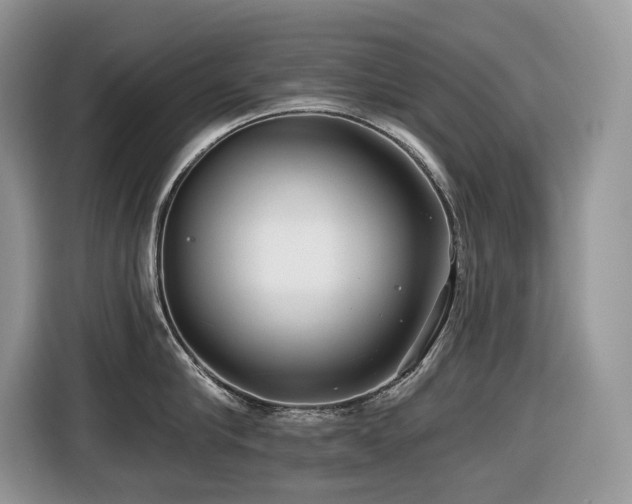 X0000116430910200912081521