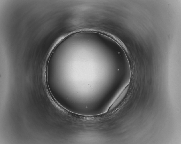 X0000116430911200912081521