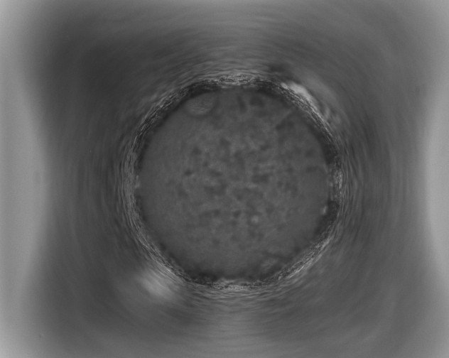 X0000116430913200912081521