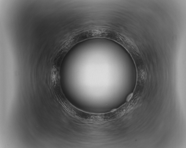 X0000116430914200912081521
