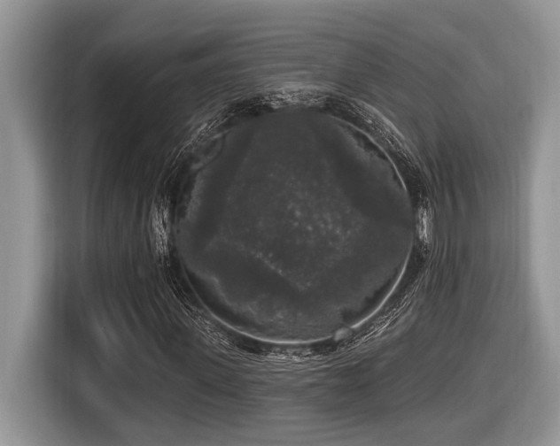 X0000116430915200912081521