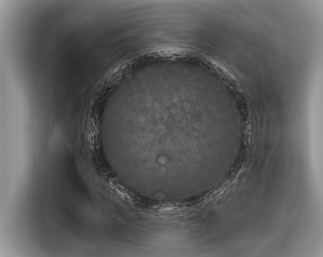 X0000116430917200912081521
