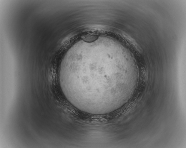 X0000116430918200912081521