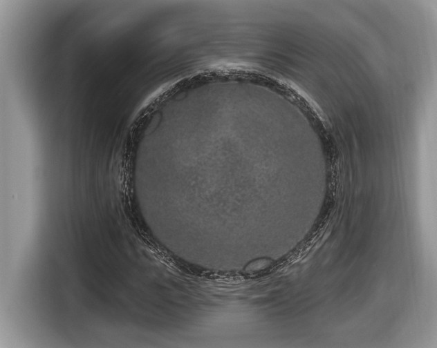 X0000116430919200912081521