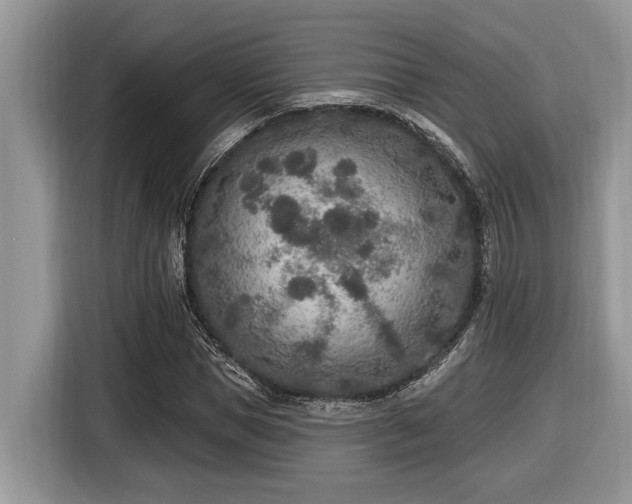 X0000116430921200912081521