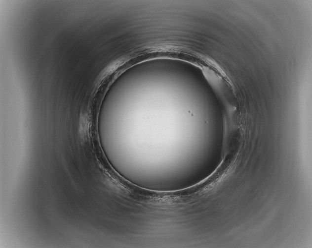 X0000116430922200912081521