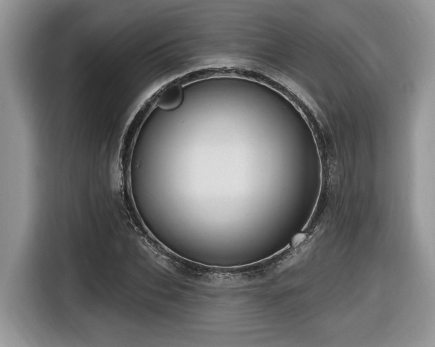 X0000116430927200912081521