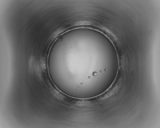 X0000116430929200912081521