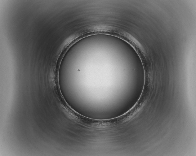 X0000116430930200912081521