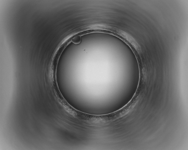 X0000116430931200912081521