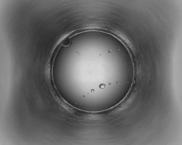 X0000116430933200912081521