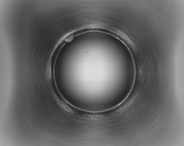 X0000116430934200912081521