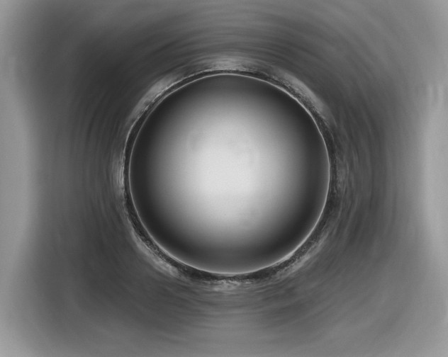 X0000116430938200912081521