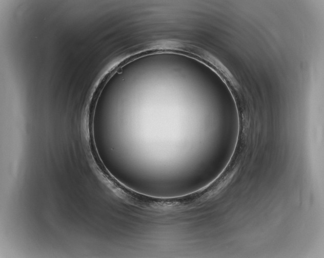 X0000116430939200912081521