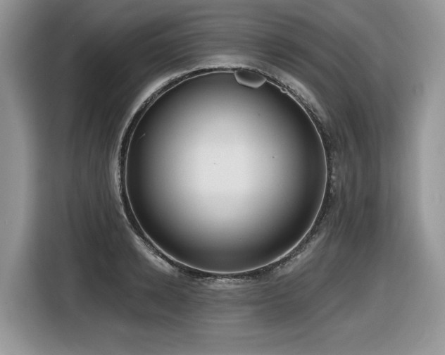 X0000116430942200912081521