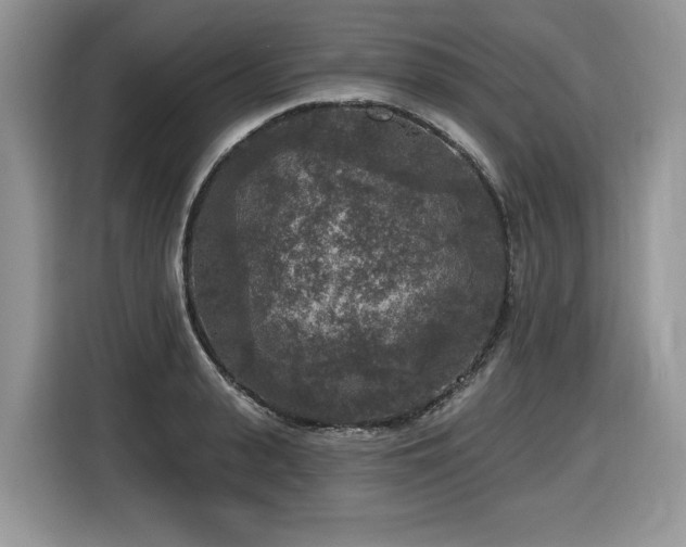 X0000116430943200912081521