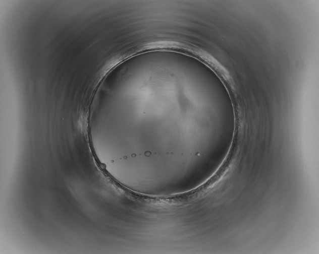 X0000116430945200912081521