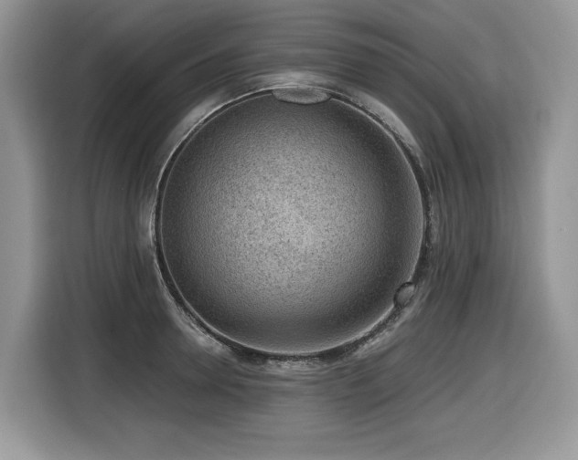 X0000116430946200912081521