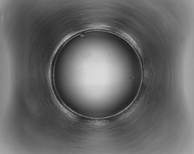 X0000116430947200912081521