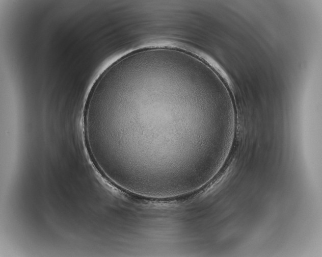X0000116430951200912081521
