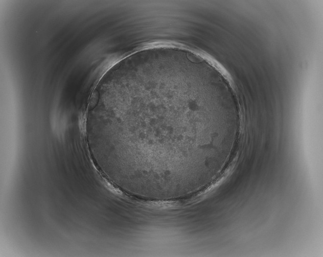 X0000116430953200912081521