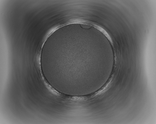X0000116430954200912081521