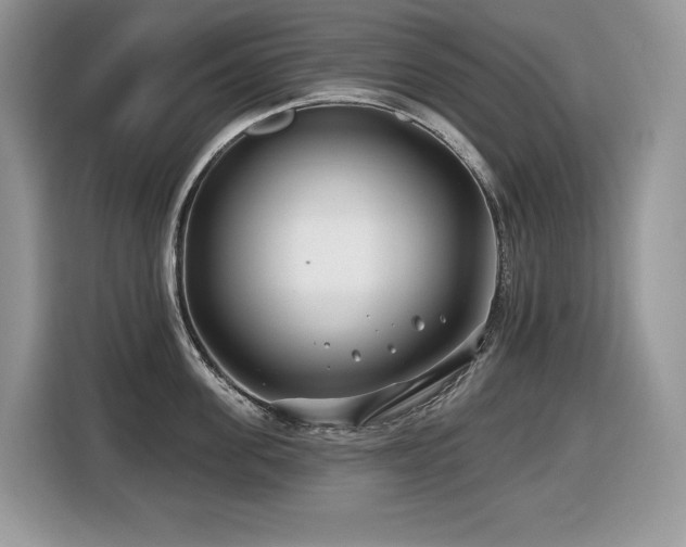 X0000116430955200912081521