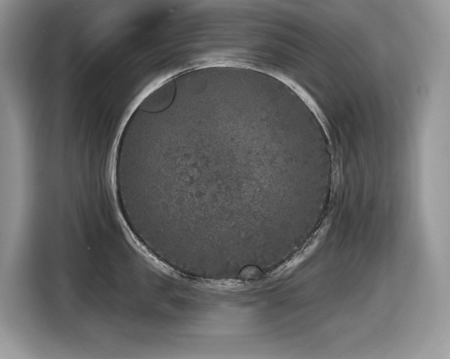 X0000116430957200912081521