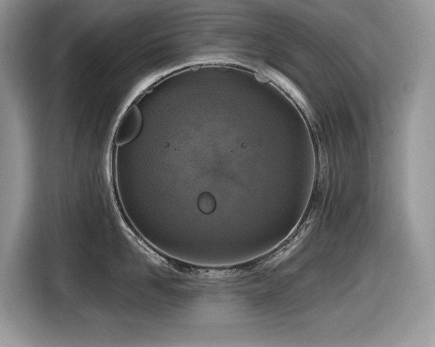 X0000116430958200912081521