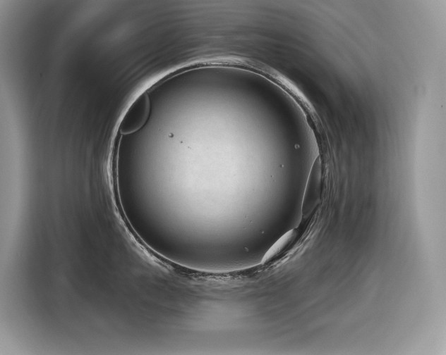 X0000116430959200912081521